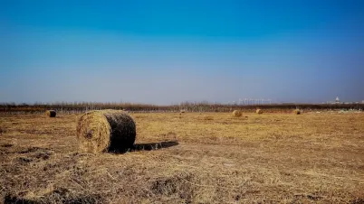 Kakadu Casino Mobiele App